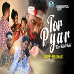 Tor Pyar Kar Kabil Nahi