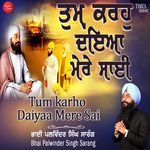 Tum Karho Daiyaa Mere Sai