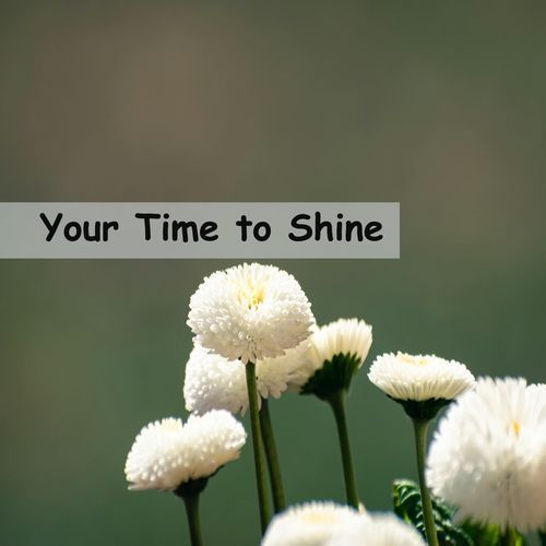 Your Time to Shine