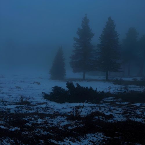 time of your life (Sped Up)