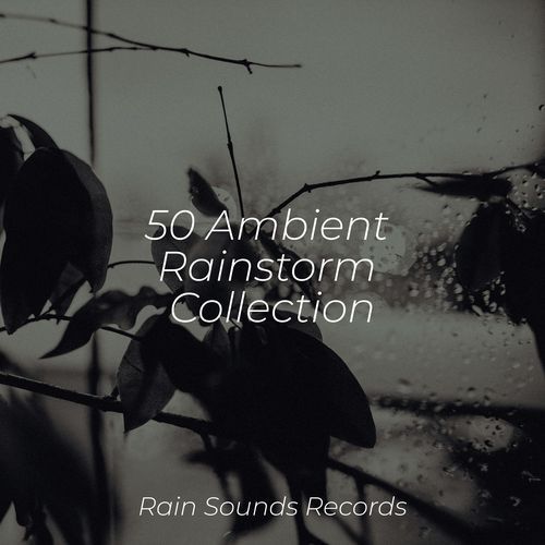 50 Ambient Rainstorm Collection