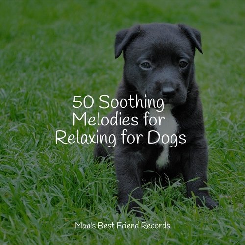 Meditating Music cover art