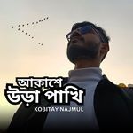 আকাশে উড়া পাখি