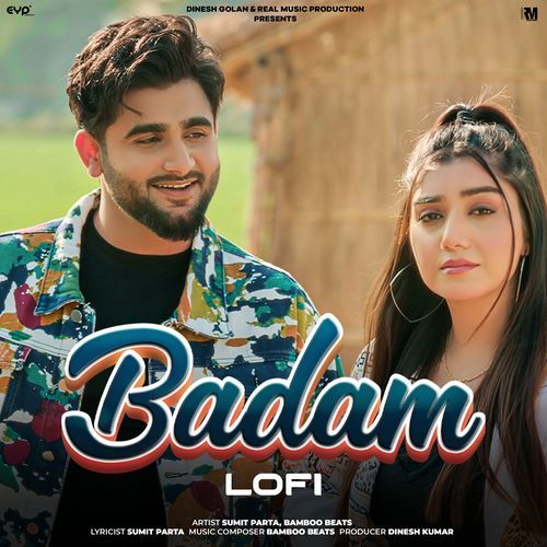 Badam (Lofi)_poster_image