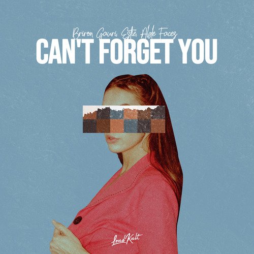 Can&#039;t Forget You_poster_image