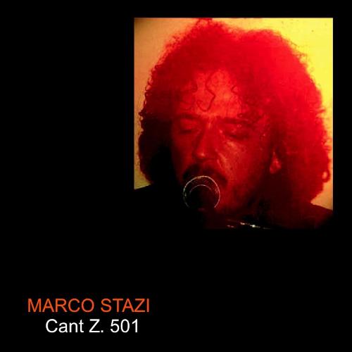 Can't Z. 501 cover art