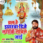 Chal Re Iyarwa Dj Lagakar Nachal Jayi - Single