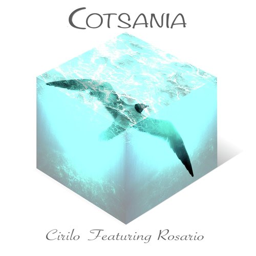 Cotsania (feat. Rosario)