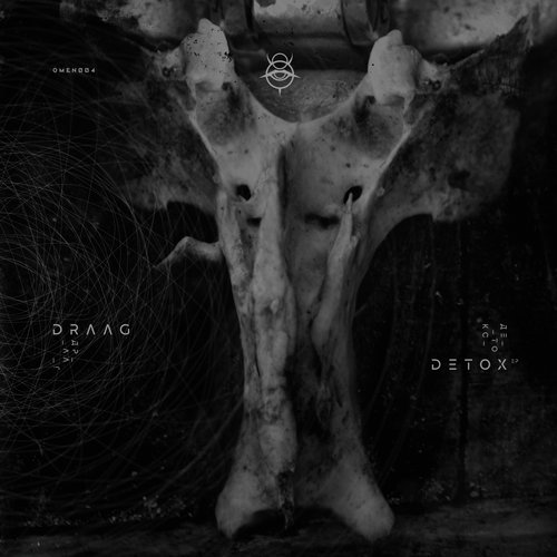 Detox (Ayarcana Remix) cover art