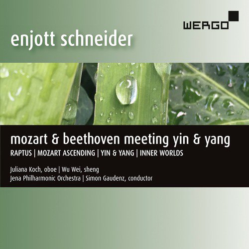 Enjott Schneider: Mozart &amp; Beethoven Meeting Yin &amp; Yang_poster_image