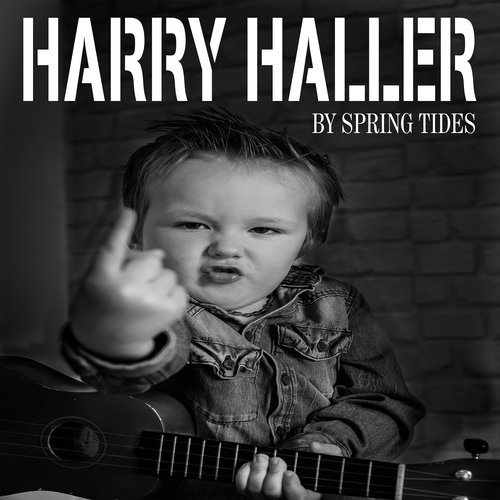 Harry Haller cover art