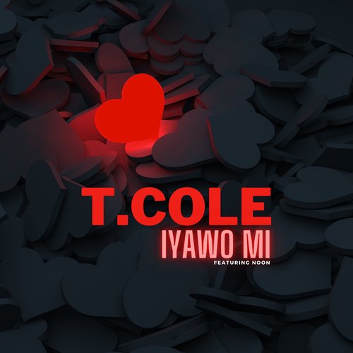 Iyawo Mi