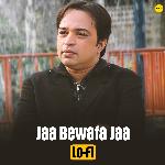 Jaa Bewafa Jaa (Lo Fi)