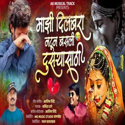 Majhi Dilbara Natun Basli Dusrya Sathi