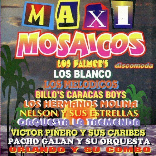 Maxi-Mosaicos