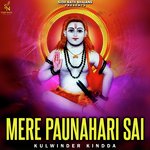 Mere Paunahari Sai