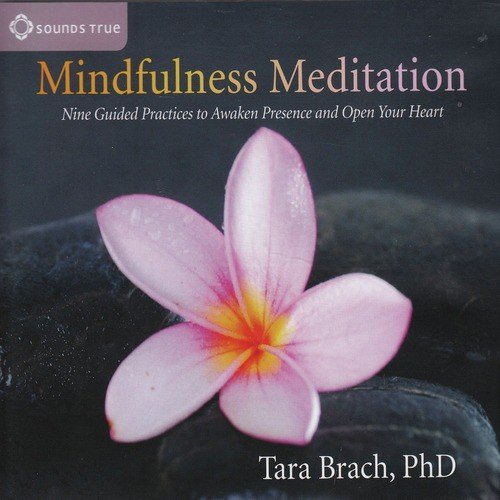 Mindfulness Meditation: Session Two