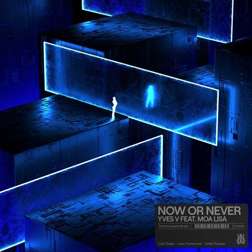 Now Or Never_poster_image