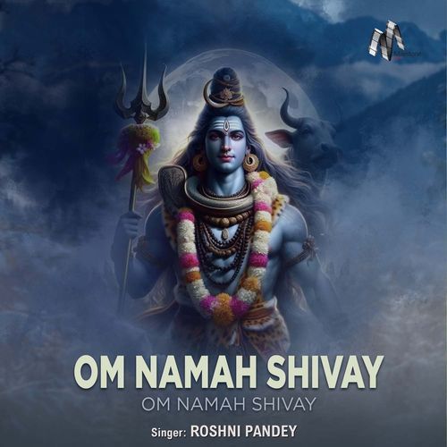 Om Namah Shivay Om Namah Shivay