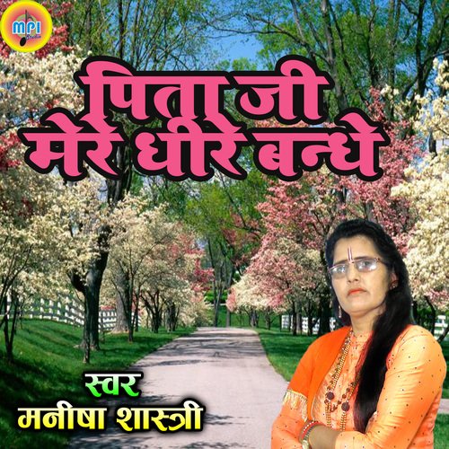 Pita Ji Mere Dheere Bandhe