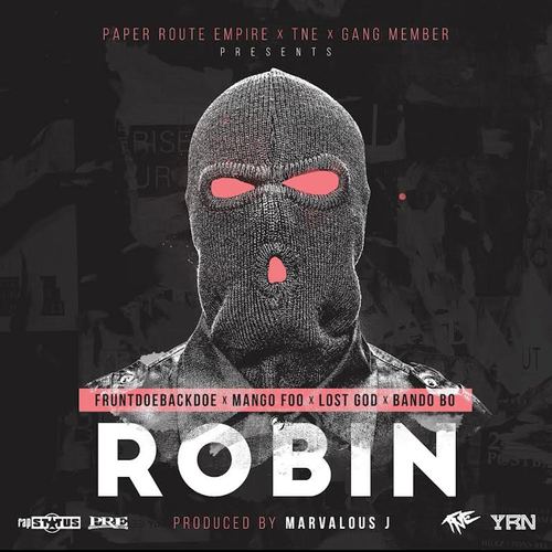 Robin_poster_image