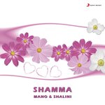 Shamma Shamma artwork