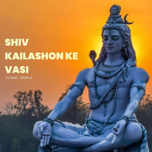 Shiv Kailashon Ke Vasi_poster_image