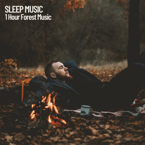 Sleep Music: 1 Hour Forest Music_poster_image