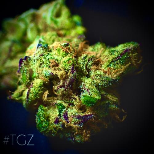 Spliff cover art