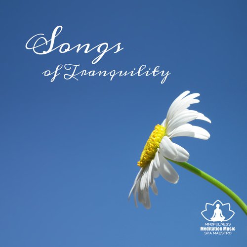 Songs of Tranquility (50 Most Popular Music for Sleep Therapy, Relaxation, Healing Massage & Spa, Nature Sounds with Piano Music)
