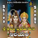 Bangaru kondallo srisaila malanna