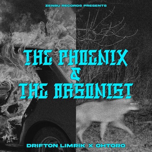 The Coordinates (feat. Illnomadic) cover art
