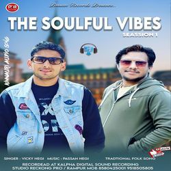 The Soulful Vibes - 1