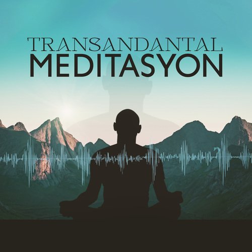 Dikkatli Tepkiler cover art