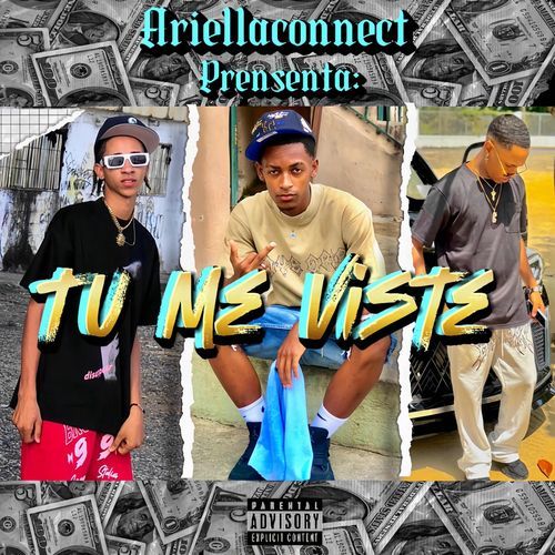 Tu Me Viste cover art