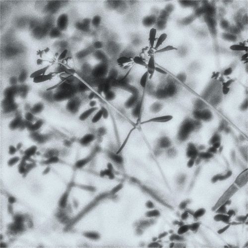 Traverse>> (feat. Myrmax)