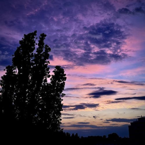 mosaic cover art