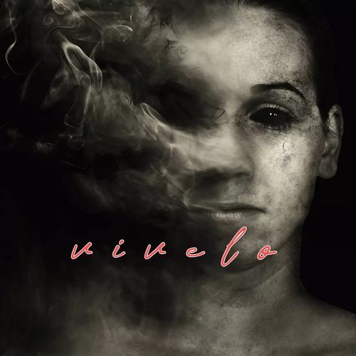 vivelo cover art