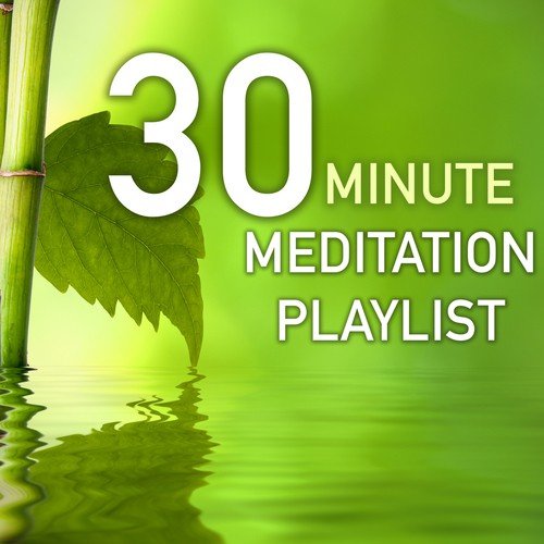 30 Minute Meditation Playlist - Peaceful Sounds of Nature for Meditating Sessions in the Morning and Evening_poster_image