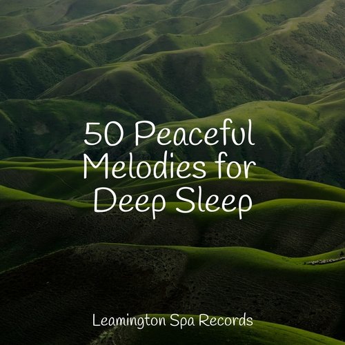 50 Peaceful Melodies for Deep Sleep