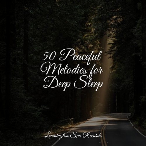 50 Peaceful Melodies for Deep Sleep