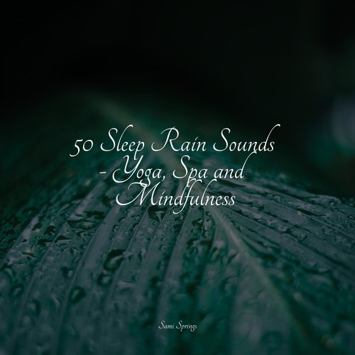 50 Sleep Rain Sounds - Yoga, Spa and Mindfulness