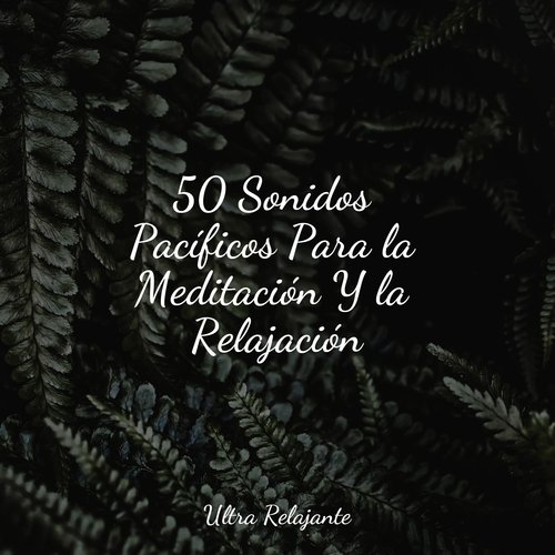 Velas Relajantes