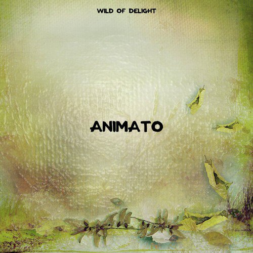 Animato cover art