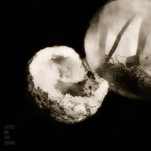 II cover art