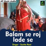 Balam se roj lade se (Hindi)