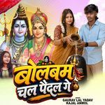 Bolbum Chal Paidal Ge