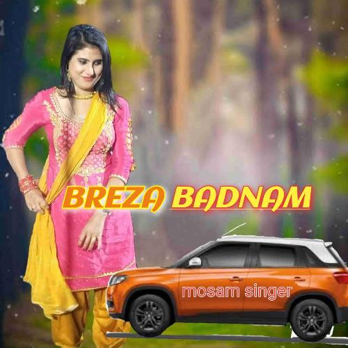 Breza Badnam