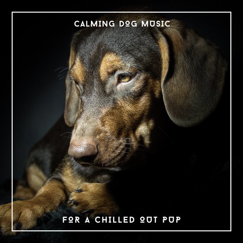 Tired Dog Chill Out cover art