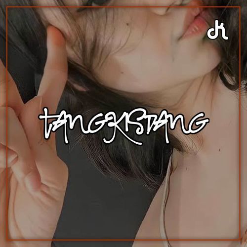 DJ MASHUP TANGKIS DANG THAILAND STYLE cover art